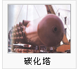 碳化塔